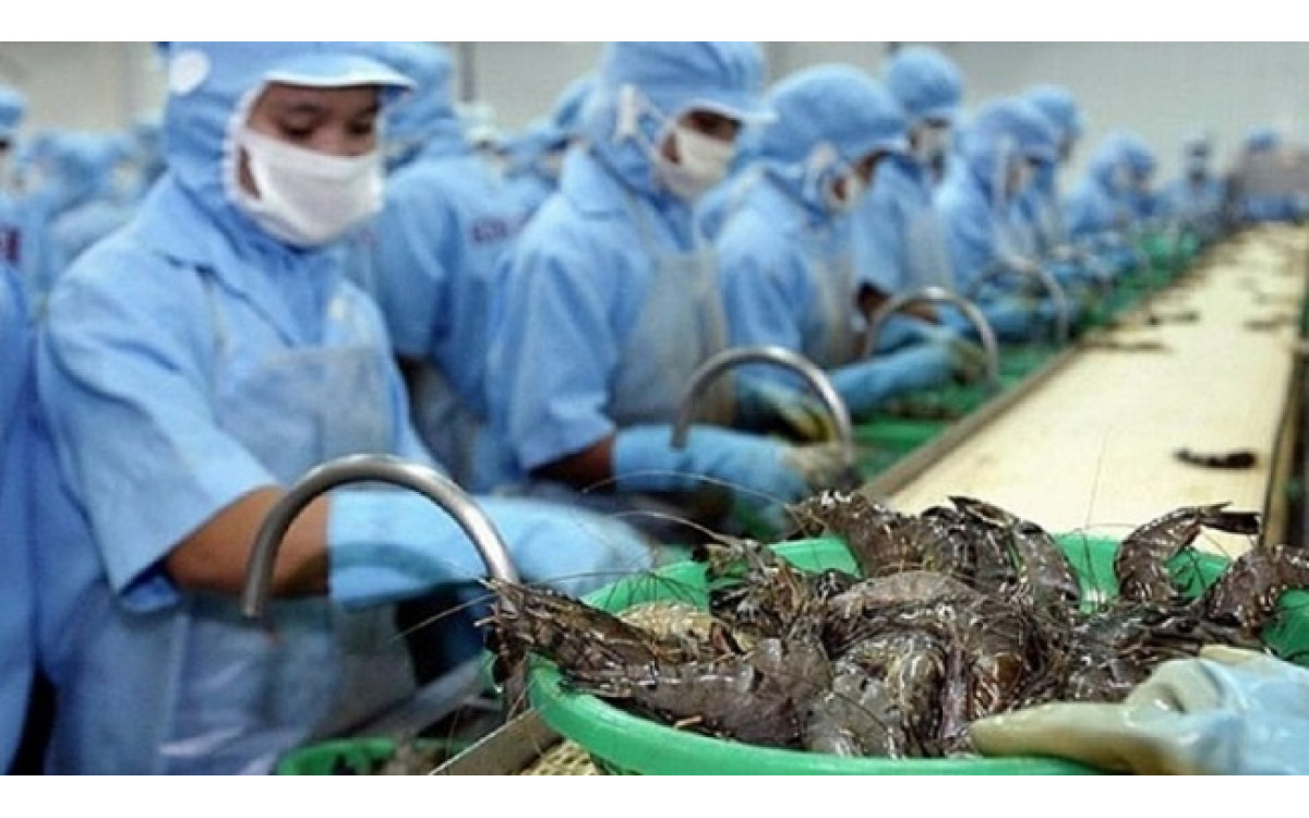 Th&aacute;ng 10/2020: Xuất khẩu t&ocirc;m Việt Nam khởi sắc ở Mỹ v&agrave; EU